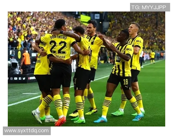 深度解析多特蒙德近期表现与未来发展趋势全面预测